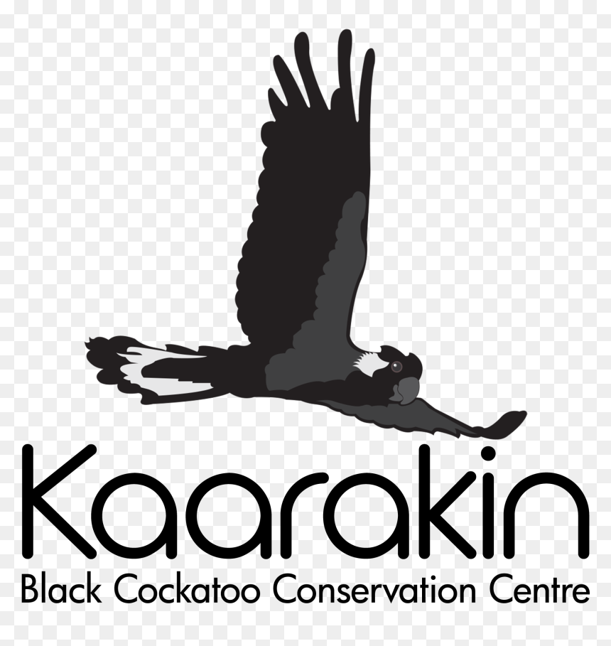 Kaarakin Black Cockatoo Conservation Centre Logo, HD Png Download - cockatoo png