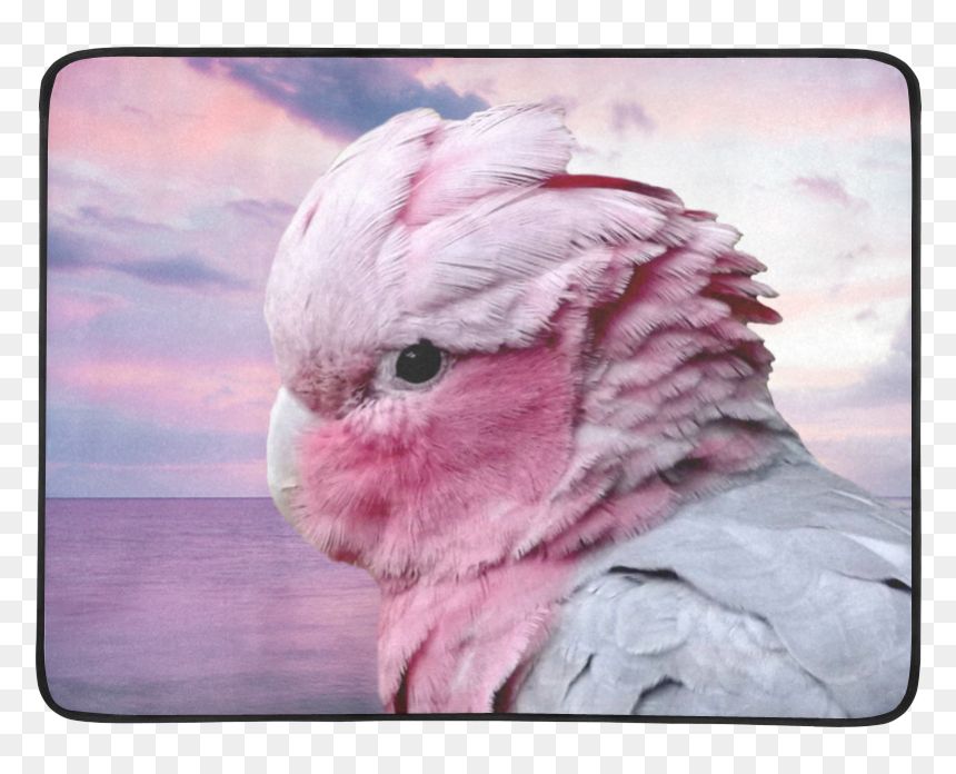 Galah Cockatoo Beach Mat 78"x 60" - Galah Cockatoo Shirt, HD Png Download - cockatoo png
