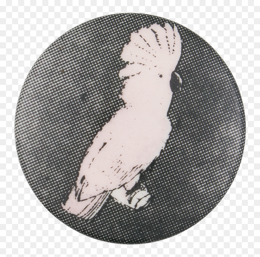Pere Ubu Not Happy Music Button Museum - Cockatoo, HD Png Download - cockatoo png