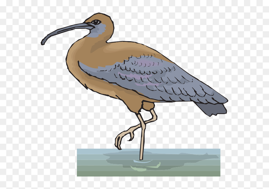 Ibis In Water Svg Clip Arts - Clip Art, HD Png Download - water .png