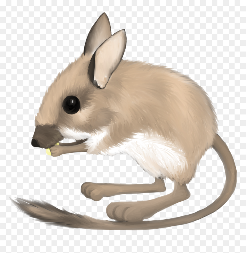 Transparent Rat Clipart Png - Mouse, Png Download - rats png