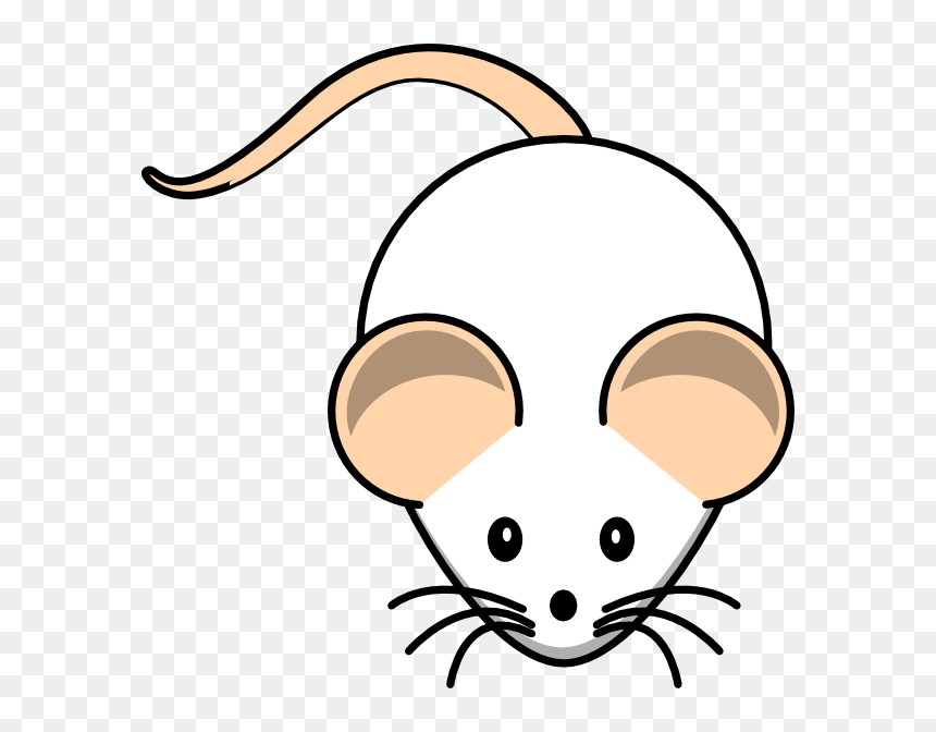 Rat Clip Art At Vector Clip Art Free - Rat Clipart, HD Png Download - rats png