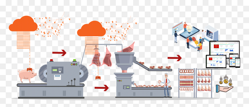 Proceso De Producción De Carne , Png Download - Meat, Transparent Png - proceso png