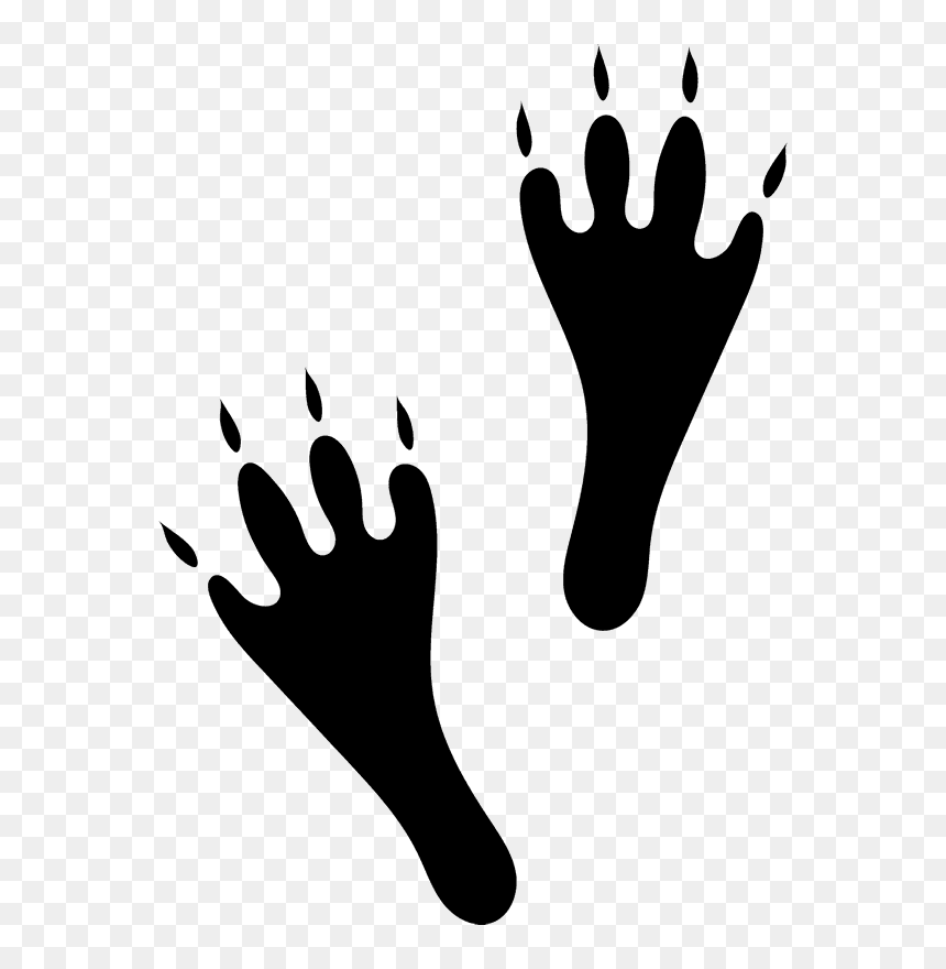 Hand Stamp Png - Hare Tracks, Transparent Png - hare png