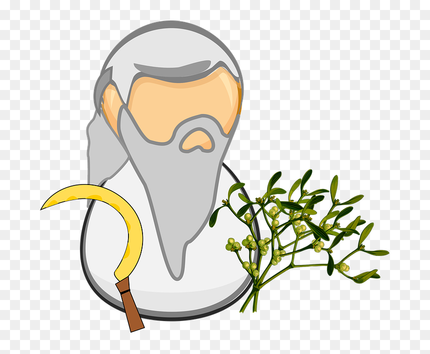 Celtic, Comic Characters, Druid, Gold, Golden - Druide Comic, HD Png Download - celtic tree of life png
