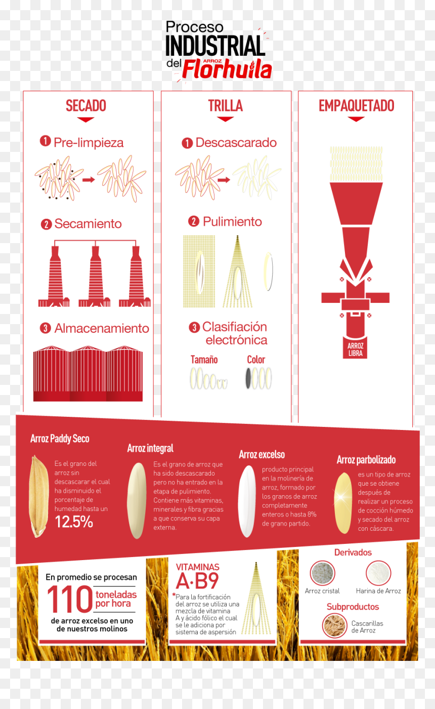 Procesodelarroz - Proceso Industrial Del Arroz, HD Png Download - proceso png