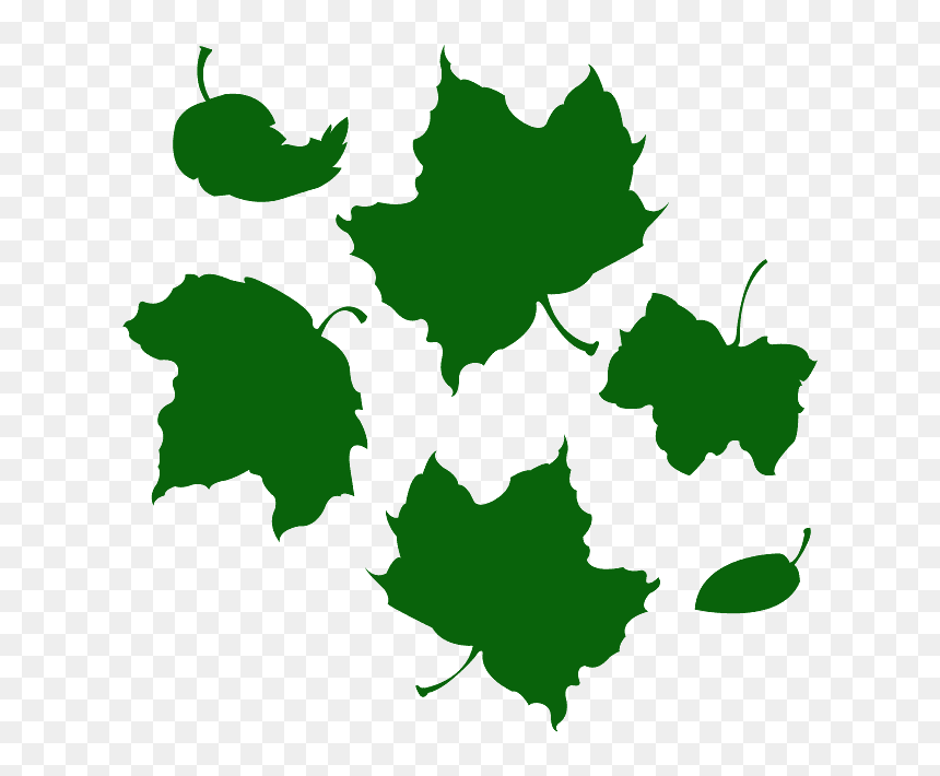 Leaf, HD Png Download - marijuana leaf vector png