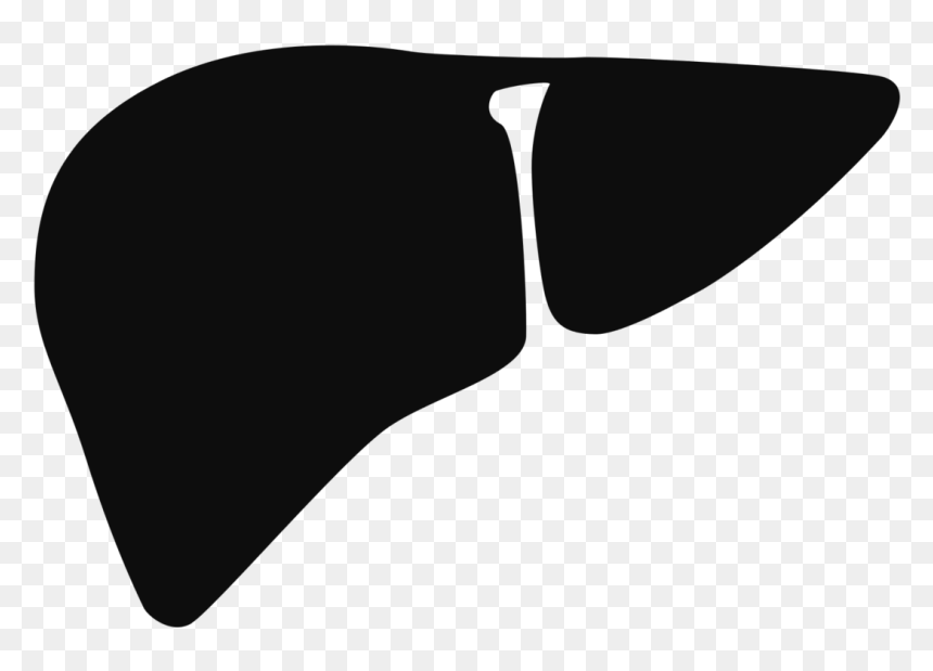 Failure Computer Liver Icons Free Hd Image Clipart - Liver Noun Project, HD Png Download - failure png