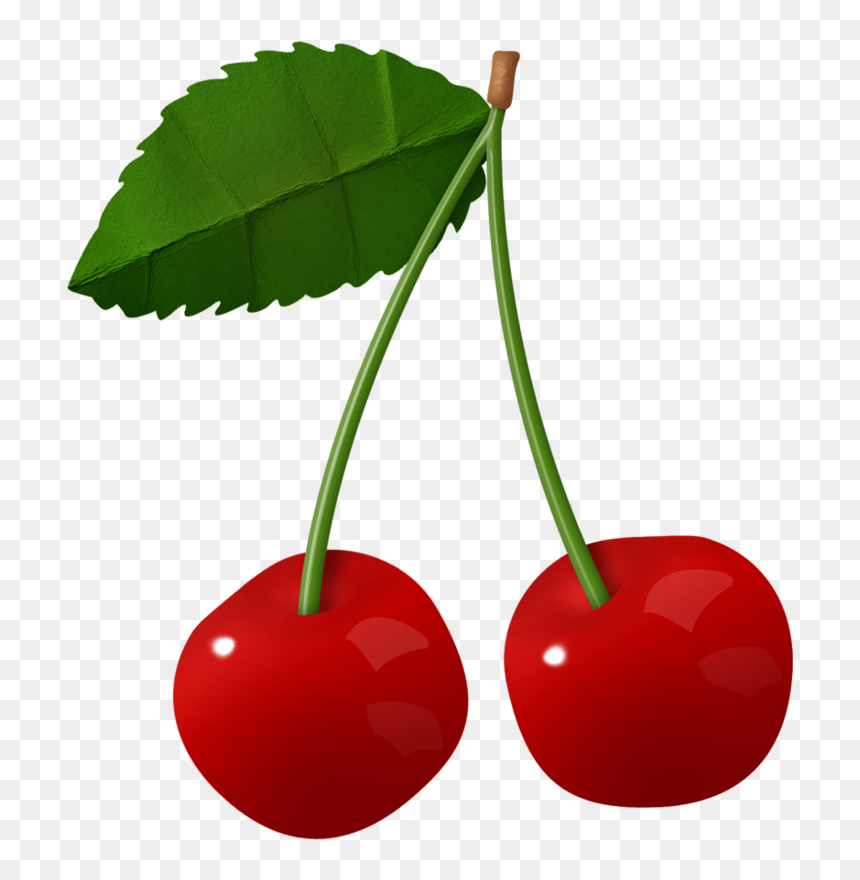 Transparent Cherries Clipart - Cherry Fruit Transparent Hd, HD Png Download - cherry clipart png