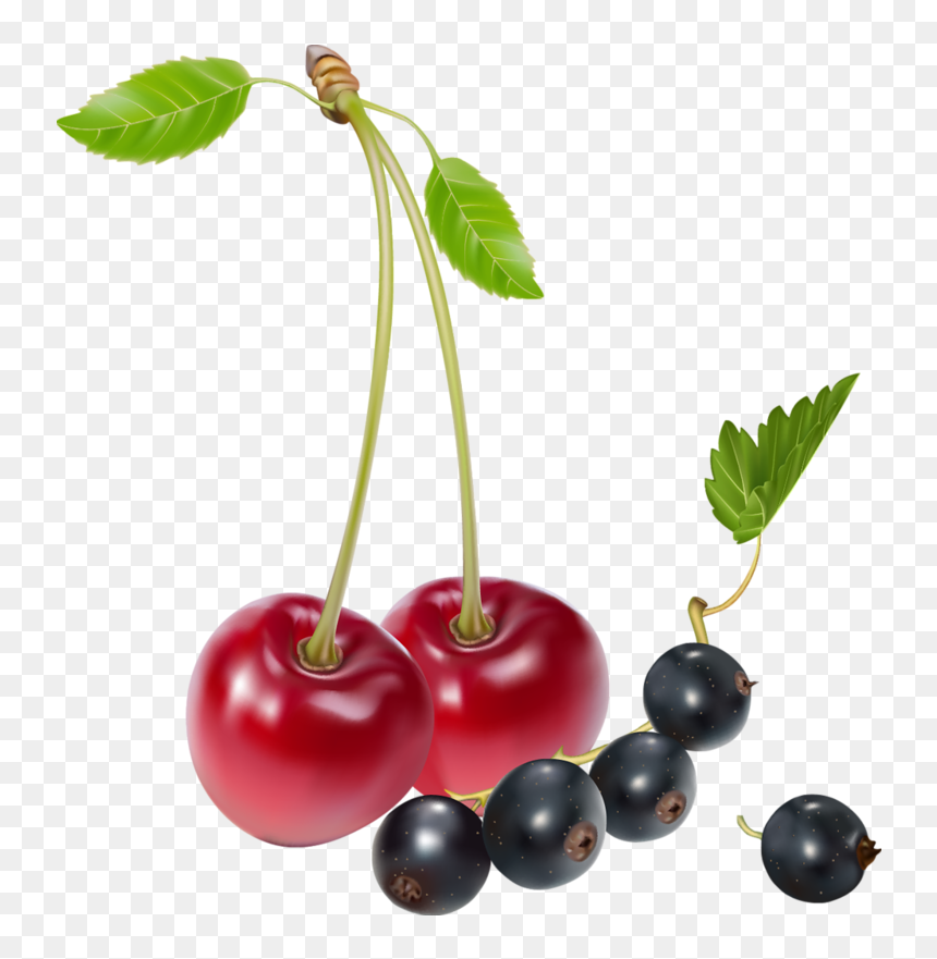 Cherries And Blueberries Png Clipart - Cherries And Blueberries, Transparent Png - cherry clipart png