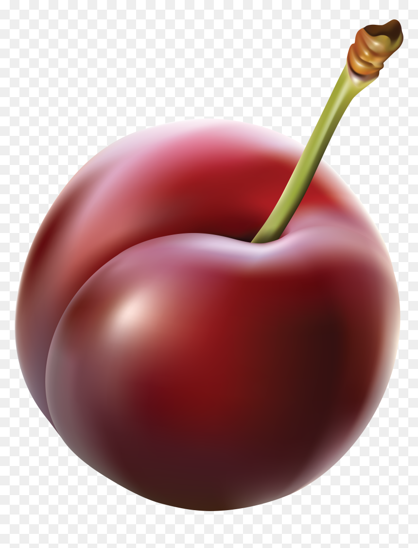 Plum - Plum Clipart Transparent Background, HD Png Download - cherry clipart png