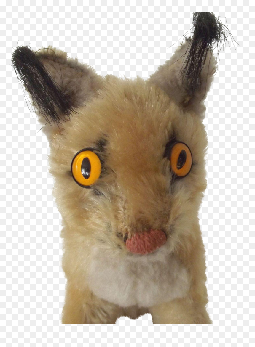 Rodent, HD Png Download - nani eyes png