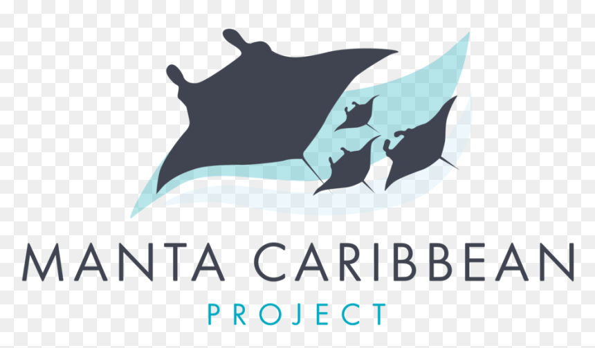 Manta Caribbean Project Logo 1 - Killer Whale, HD Png Download - ghost .png