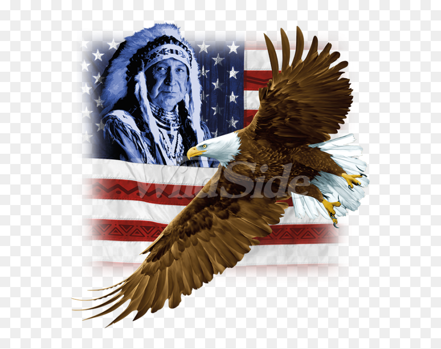 Transparent Eagle Wings Spread Clipart Black And White - Hawk, HD Png Download - mexican flag eagle png