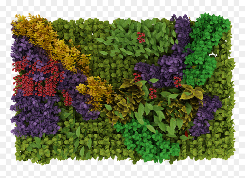 Green, Plant, Wall, Leaves, Garden - Jardin En Planta Png, Transparent Png - ground cover png