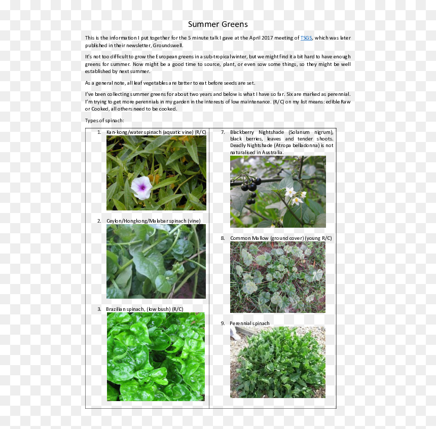Garden, HD Png Download - ground cover png