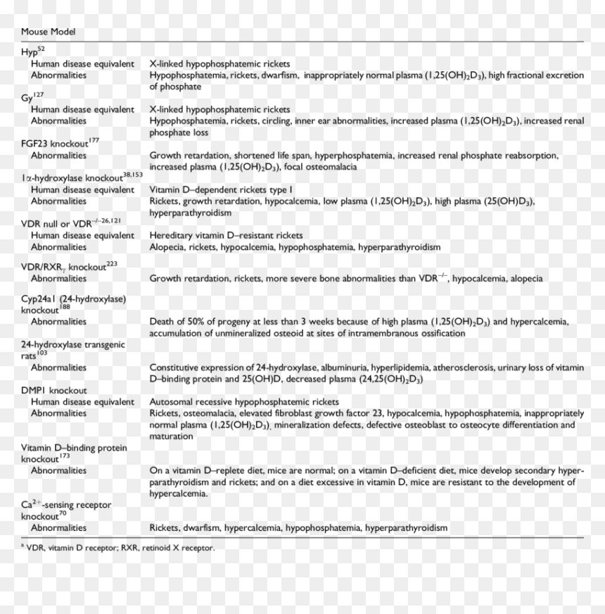 Human Metabolic Bone Disease, HD Png Download - rayos de luz png