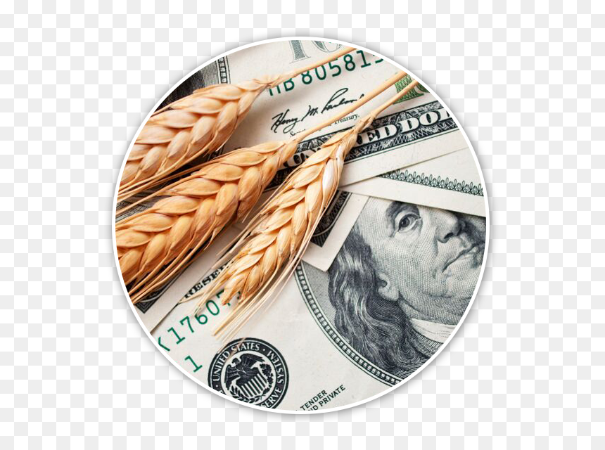 Producers Can Choose To Purchase Additional Months - 100 Dollar Bill, HD Png Download - 100 dollar png