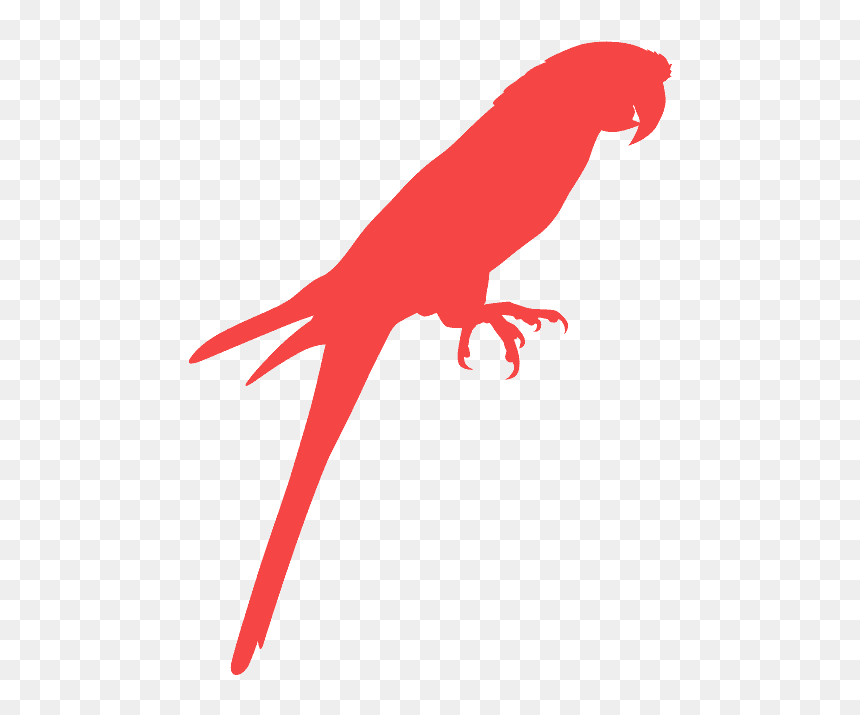 Parrot Silhouettes, HD Png Download - ak 47 vector png