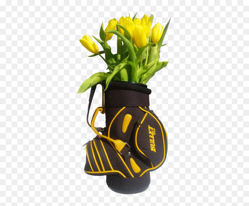 Golf Bag Wine Bottle Cooler Replica Of A Charming Golf - Bouquet, HD Png Download - golf bag png