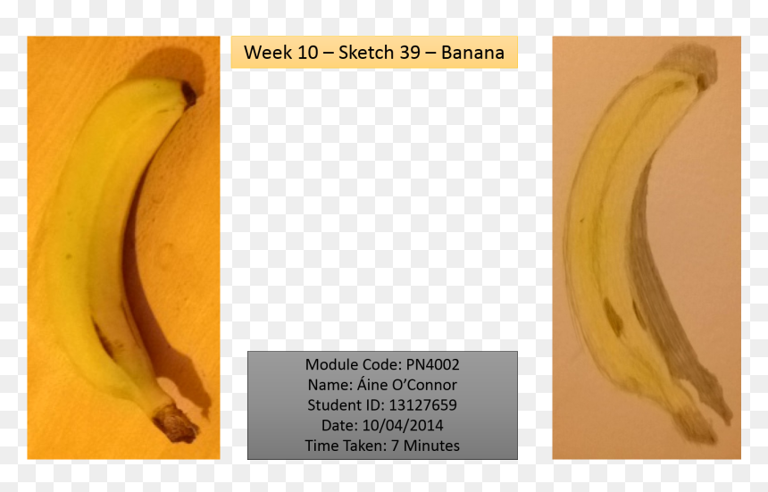 Peeled Banana Png , Png Download - Saba Banana, Transparent Png - peeled banana png