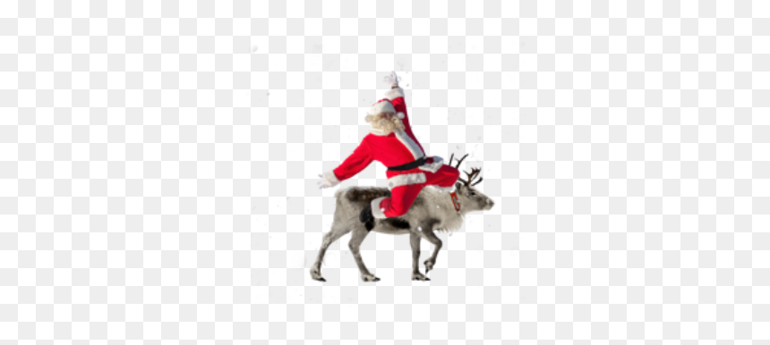 #santa #reindeer #christmas #holiday - Reindeer, HD Png Download - santa reindeer png