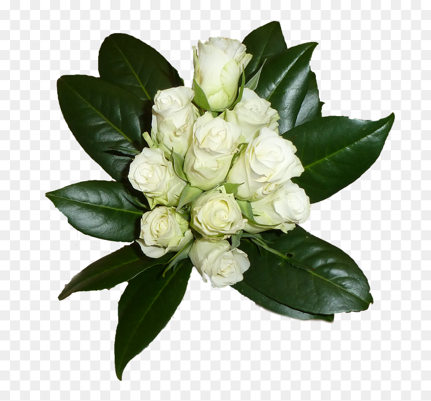 Ramo De Flores, Blanco, Rosas, Hoja - ช่อ ดอกไม้ สี ขาว Png, Transparent Png - ramo de flores png
