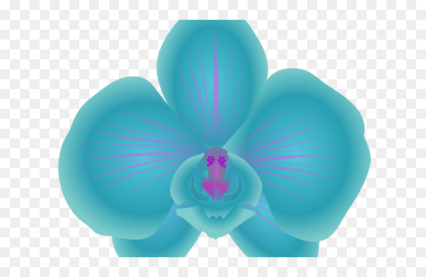 Orchid Clipart Orchid Flower - Blue Orchid Clip Art, HD Png Download - blue vector png
