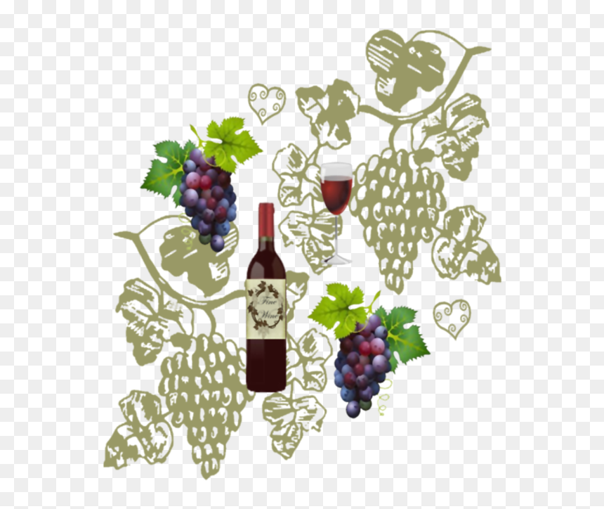 Wine And Grapes - Grapes Vector, HD Png Download - wine grapes png