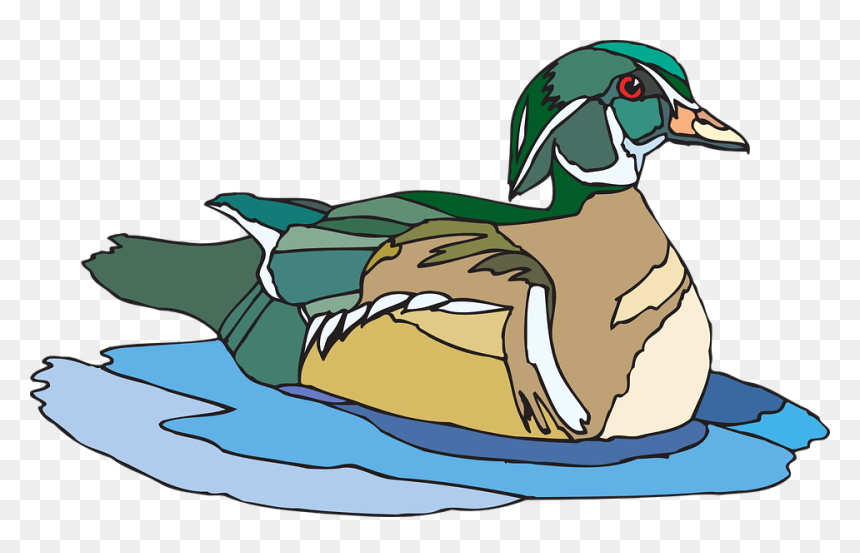 Duck Clipart Duck Beak - Duck Is Swimming Clipart, HD Png Download - swimming clipart png