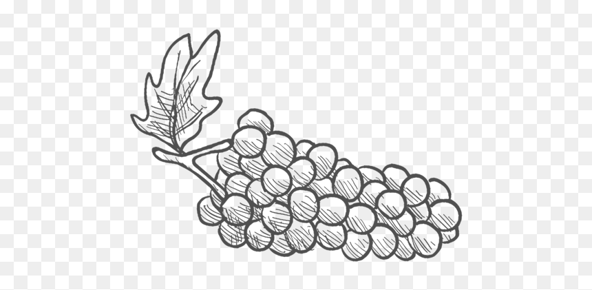 Club Member Discounts, HD Png Download - wine grapes png