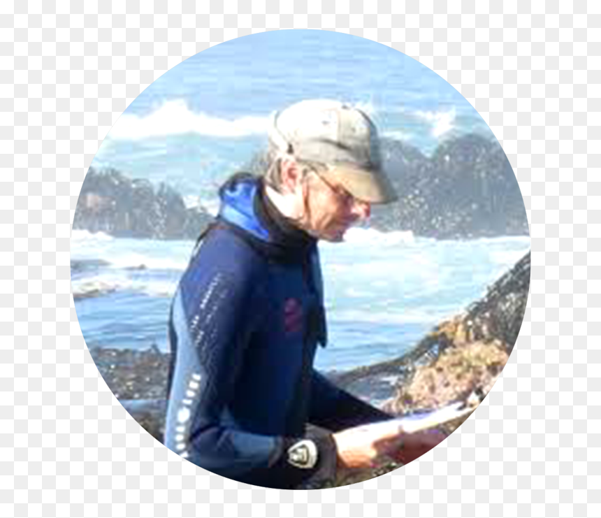 Transparent Person Swimming Png - Dry Suit, Png Download - person swimming png
