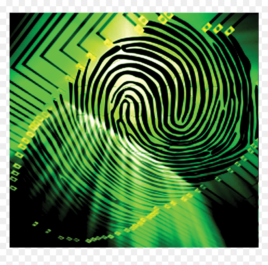 Fp - Graphic Design, HD Png Download - fingerprints png