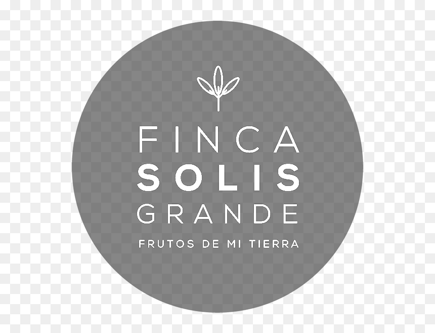 Logo - Circle, HD Png Download - destellos dorados png