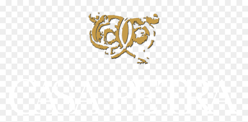 Casa Petra - Wiley Rein, HD Png Download - moño de luto png
