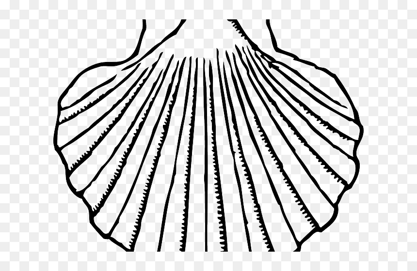 Shell Clipart Mussel Shell - Shell Clipart Black And White, HD Png Download - shell clipart png