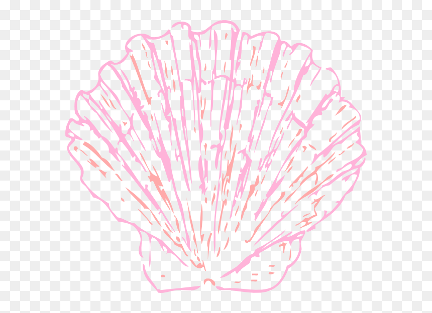 Transparent Seashell Clipart, HD Png Download - shell clipart png
