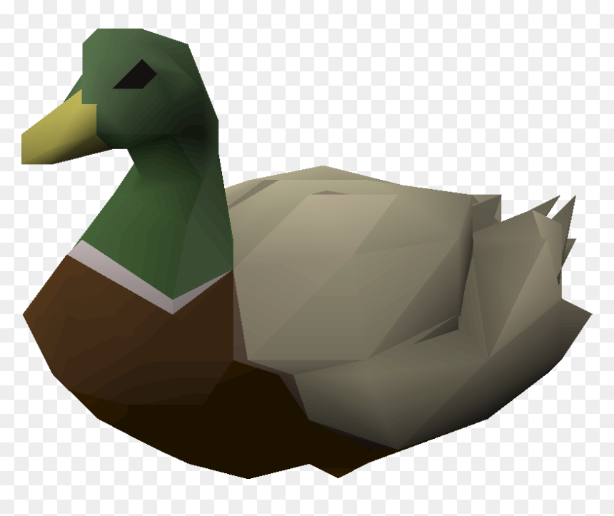 Duck, HD Png Download - duck.png