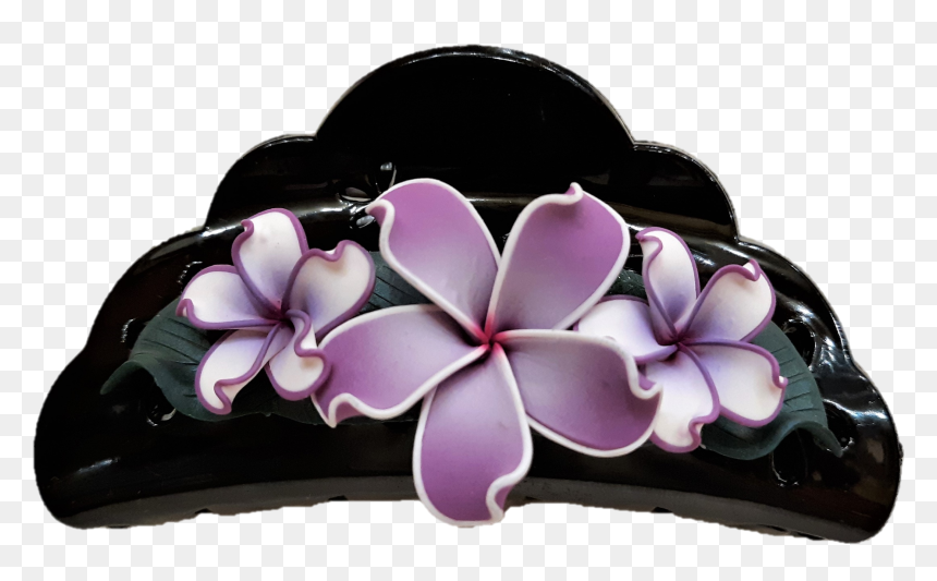 Transparent Plumeria Flower Png - Frangipani, Png Download - plumeria flower png