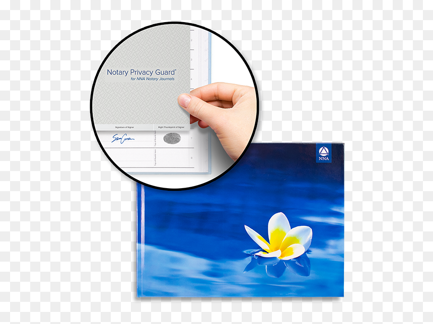 Deluxe Journal - Plumeria Flower - Crocus, HD Png Download - plumeria flower png