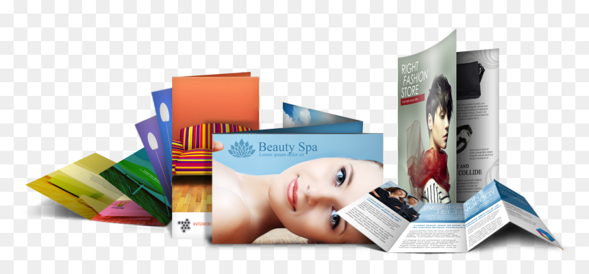 Printed Brochures, HD Png Download - brochures png