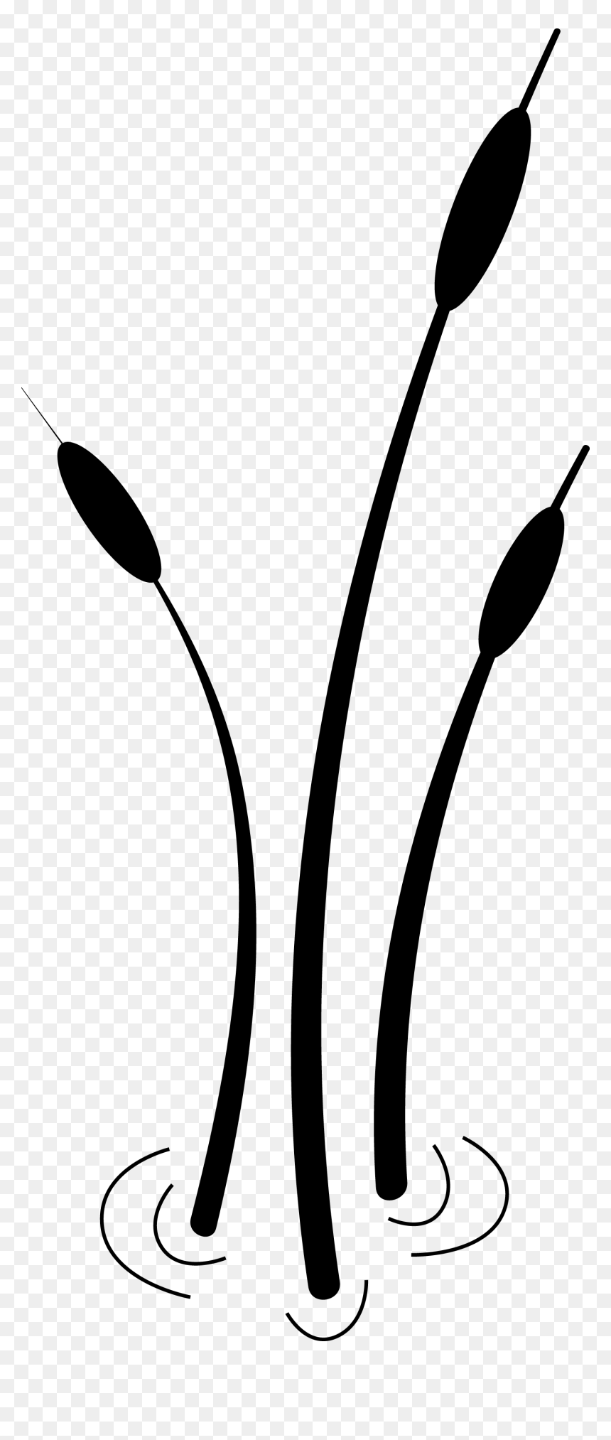Cattail Globe Algae Clip Art, HD Png Download - cattail png