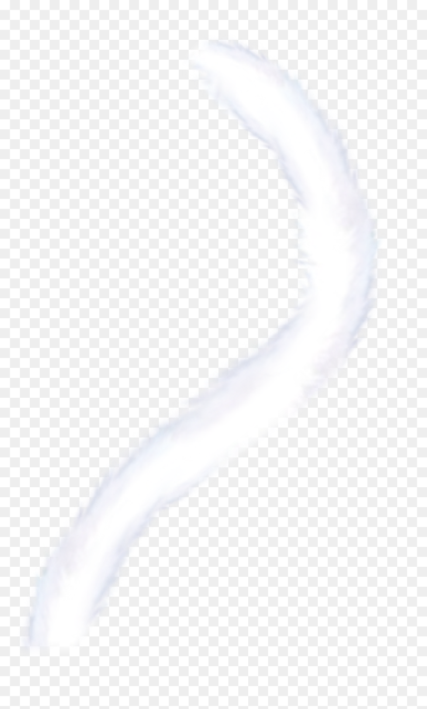 #cattail #cat #tail #freetoedit - Macro Photography, HD Png Download - cattail png