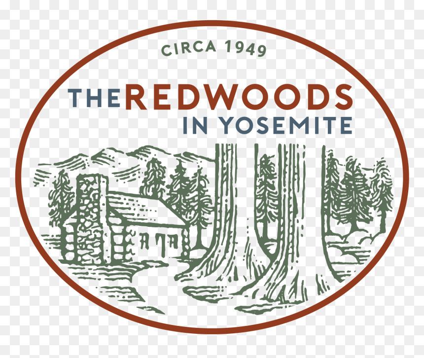 Transparent Star Trail Png - Redwoods In Yosemite Logo, Png Download - star trail png