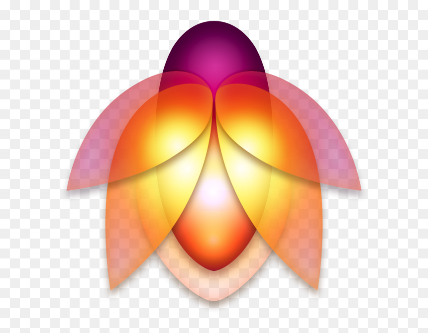 Orange Gallery Icon, HD Png Download - yellow flare png