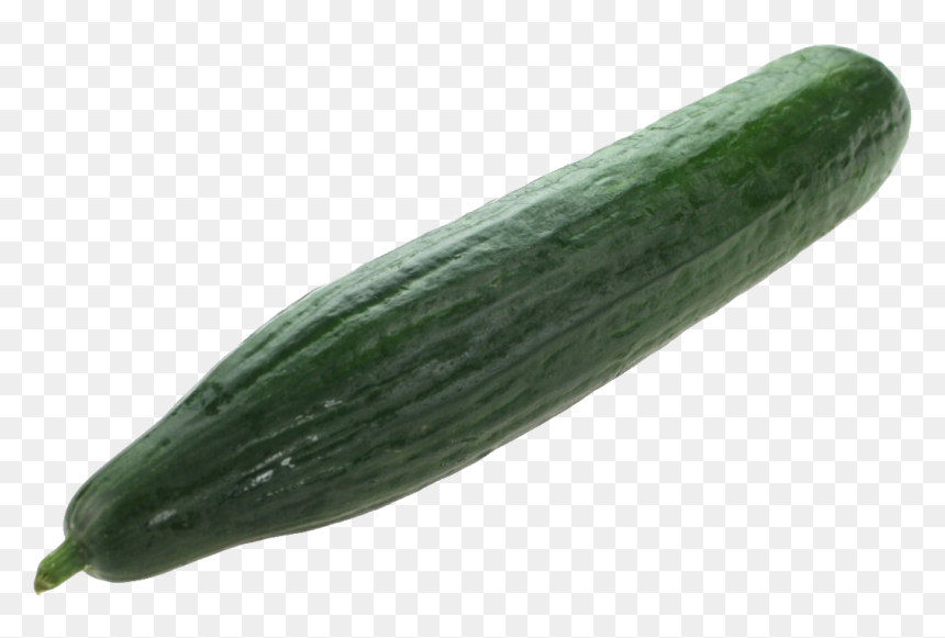 Pickled Cucumber Fruit - Cucumber Png, Transparent Png - pepino png