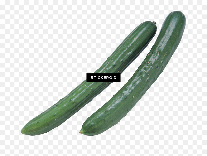 Pepino - Cucumber, HD Png Download - pepino png