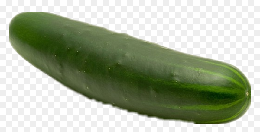 #pepino - Cucumber, HD Png Download - pepino png