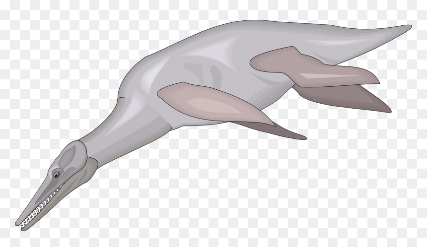 Marinos Dinosaurios Acuaticos Gif, HD Png Download - fish swimming png