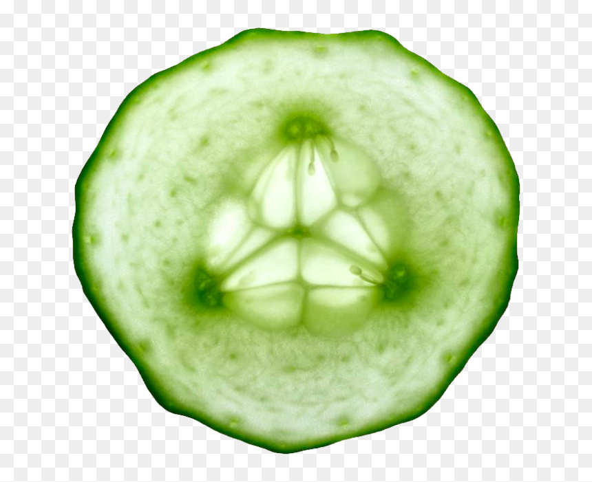 Pepino Vegetable Slicing Cucumber - Transparent Sliced Cucumbers, HD Png Download - pepino png